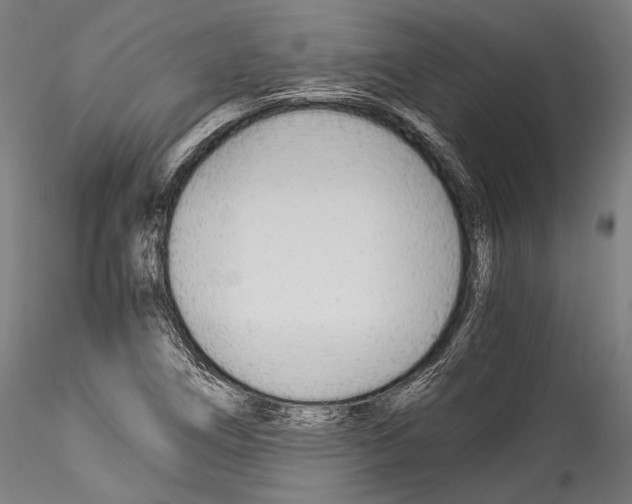 X0000114541266200911301153