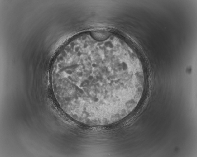 X0000114541267200911301153