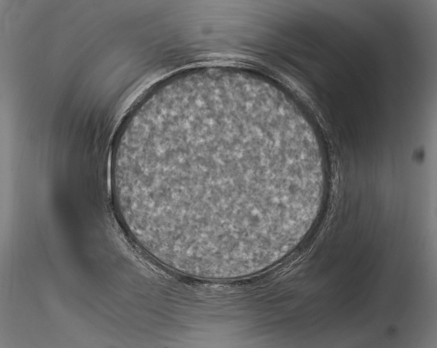 X0000114541275200911301153