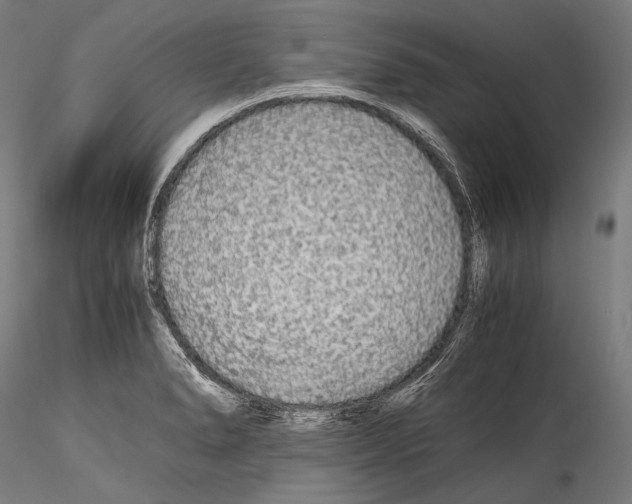 X0000114541278200911301153