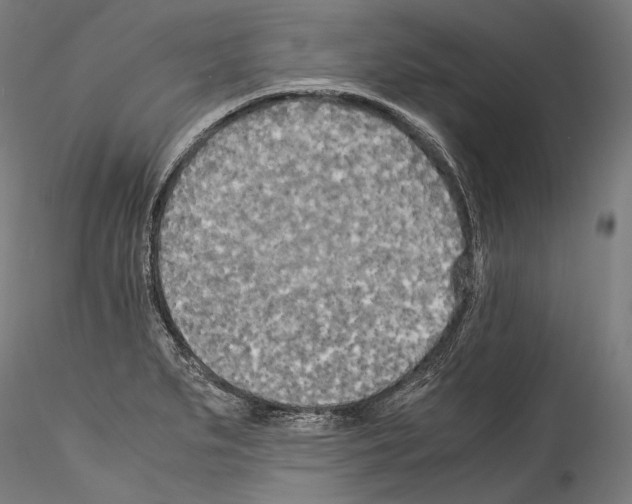 X0000114541279200911301153