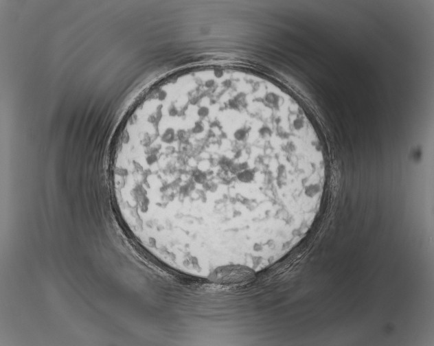 X0000114541283200911301153