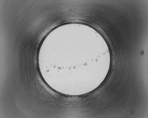 X0000114541285200911301153