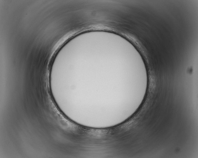 X0000114541286200911301153