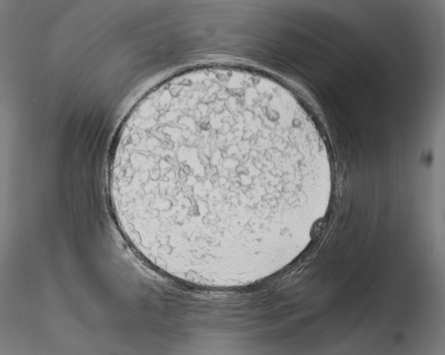 X0000114541287200911301153