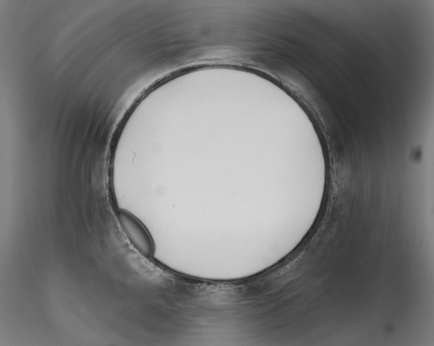 X0000114541288200911301153