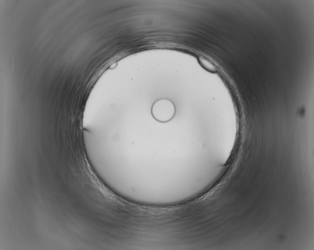 X0000114541289200911301153