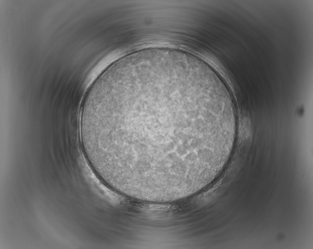 X0000114541290200911301153