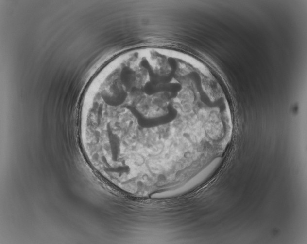 X0000114541291200911301153