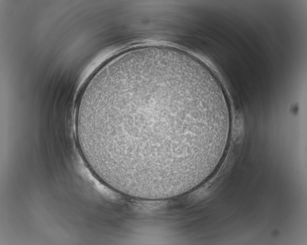 X0000114541294200911301153