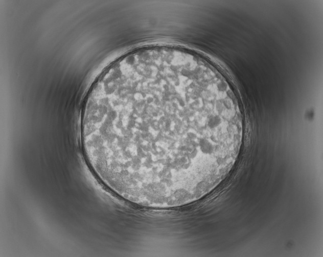 X0000114541295200911301153