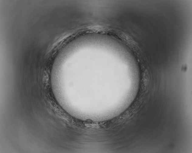 X0000114541302200911301152