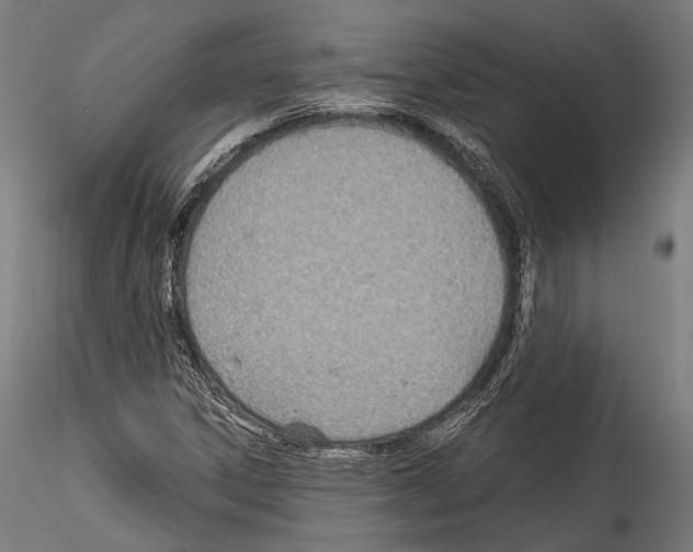 X0000114541306200911301152