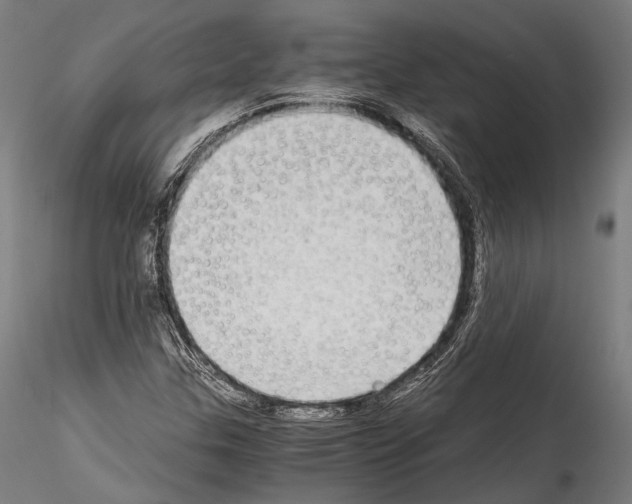 X0000114541307200911301152