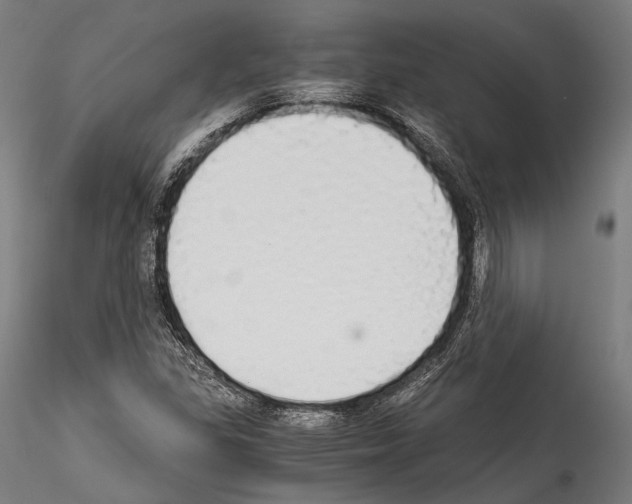 X0000114541309200911301152