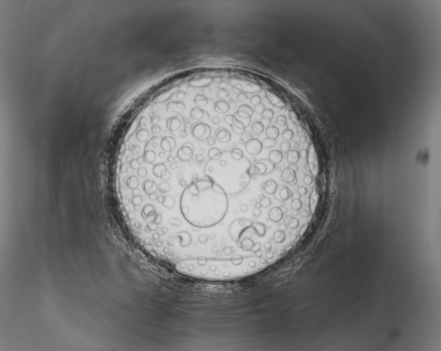 X0000114541311200911301152