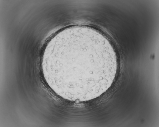 X0000114541315200911301152