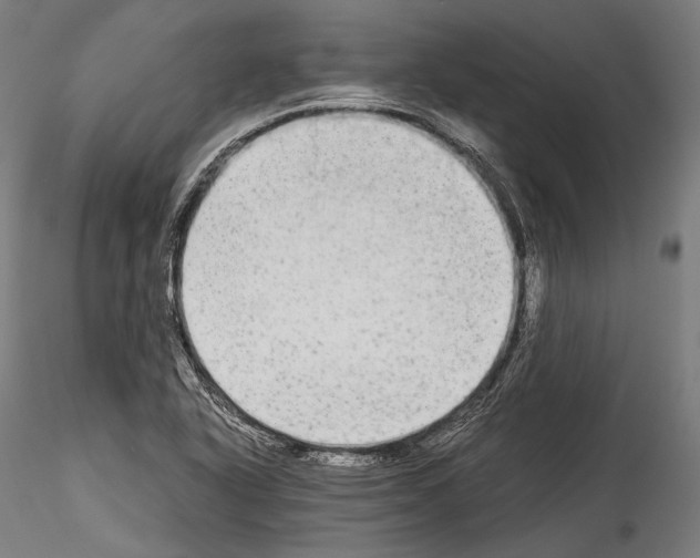 X0000114541318200911301152