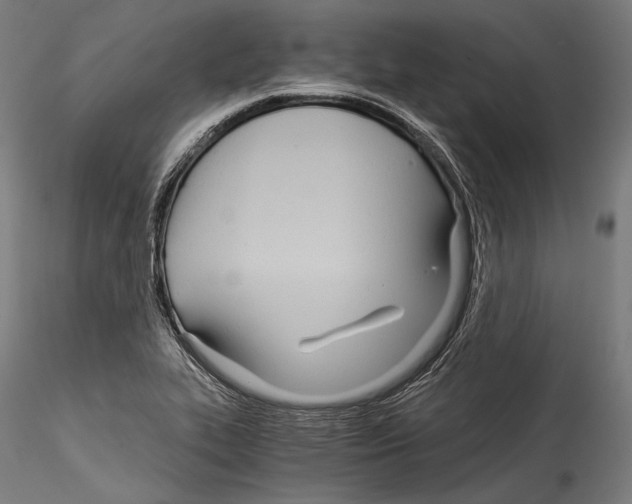 X0000114541319200911301152