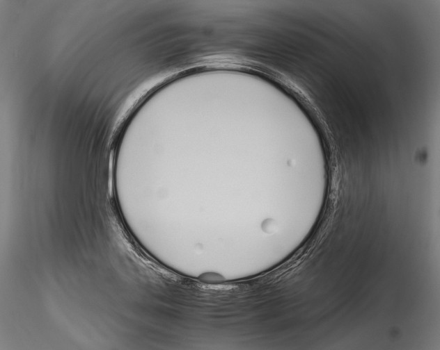 X0000114541323200911301152