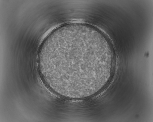 X0000114541325200911301152