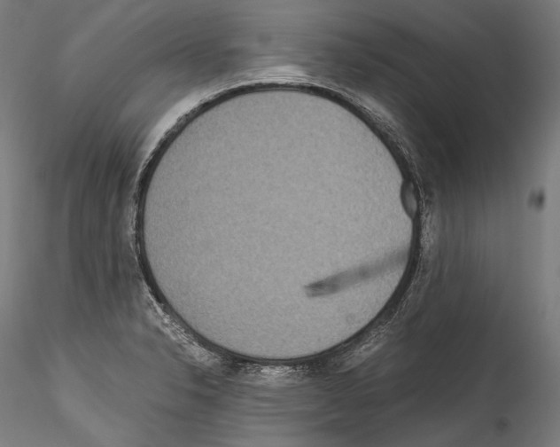 X0000114541326200911301152