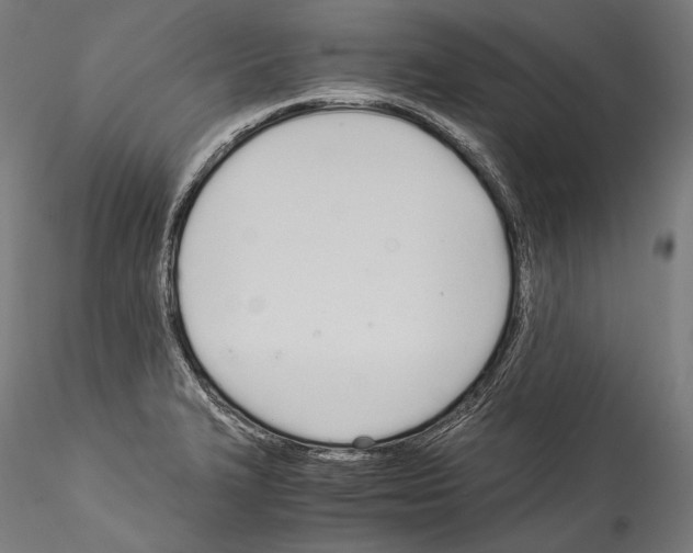 X0000114541327200911301152