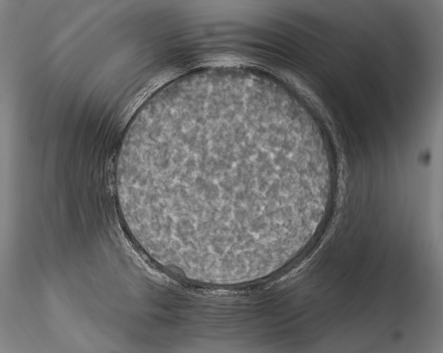 X0000114541329200911301152