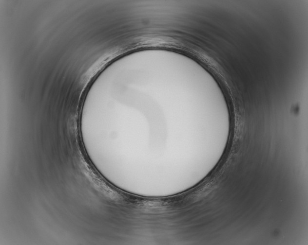 X0000114541330200911301152