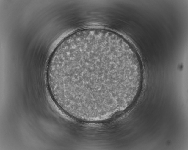 X0000114541333200911301152