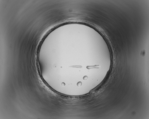 X0000114541334200911301152