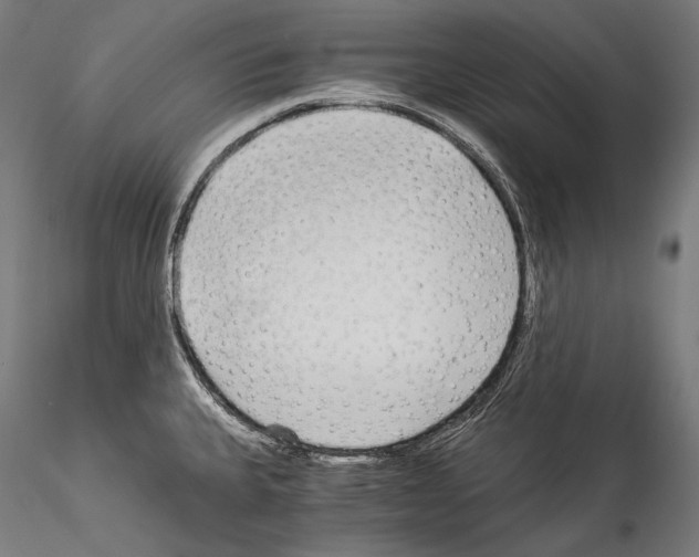 X0000114541335200911301152