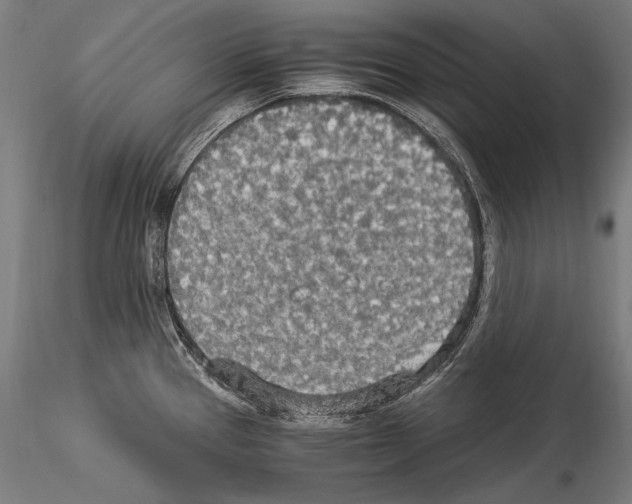 X0000114541337200911301152