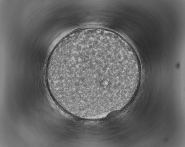 X0000114541341200911301153