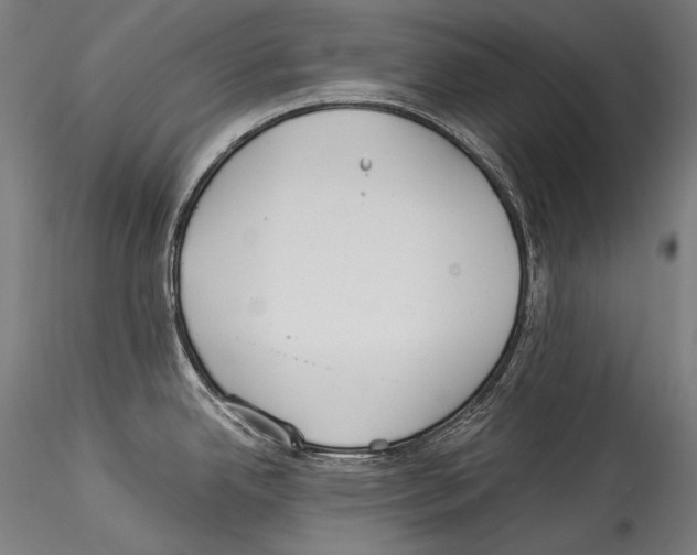 X0000114541342200911301153