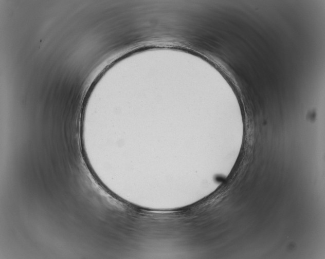 X0000114541343200911301153