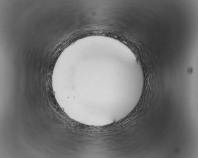 X0000114541349200911301152