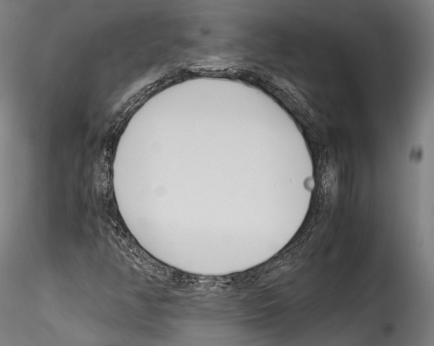 X0000114541350200911301152