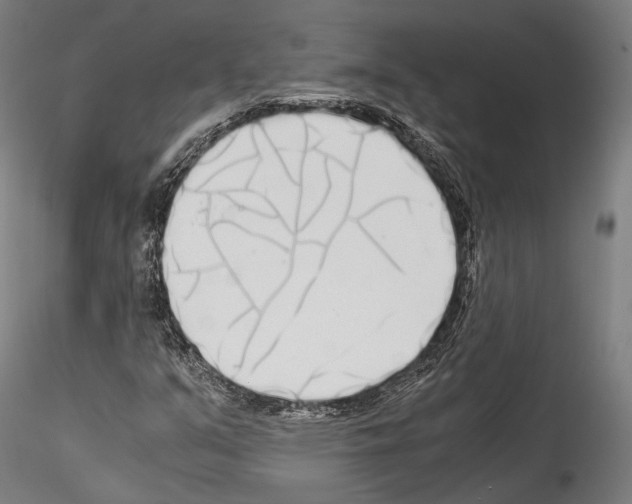 X0000114541351200911301152