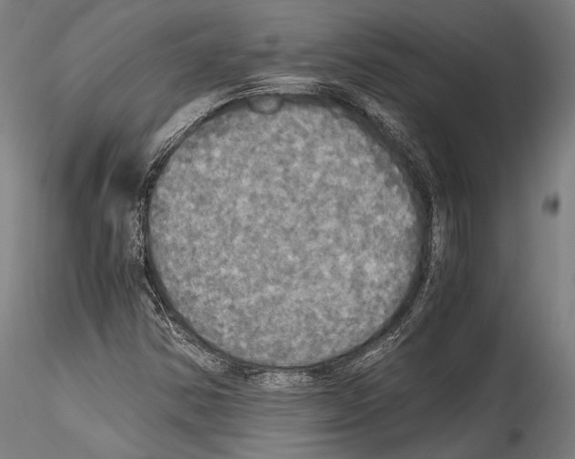 X0000114541354200911301152