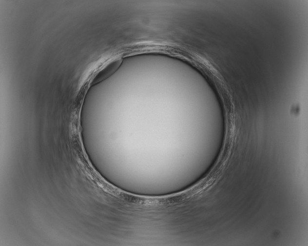 X0000114541357200911301152