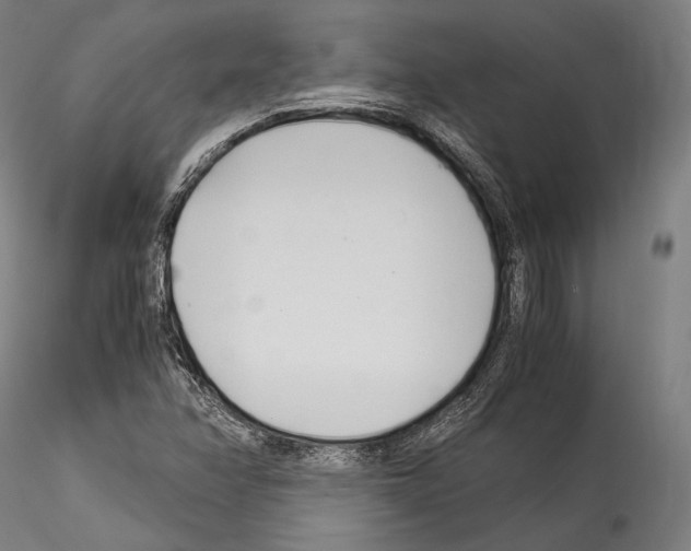 X0000114541358200911301152