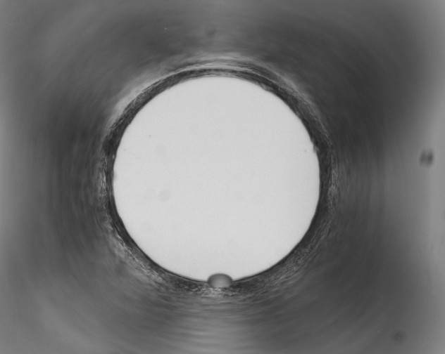 X0000114541360200911301152