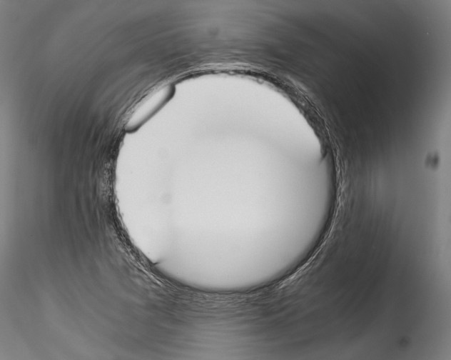 X0000114541361200911301152