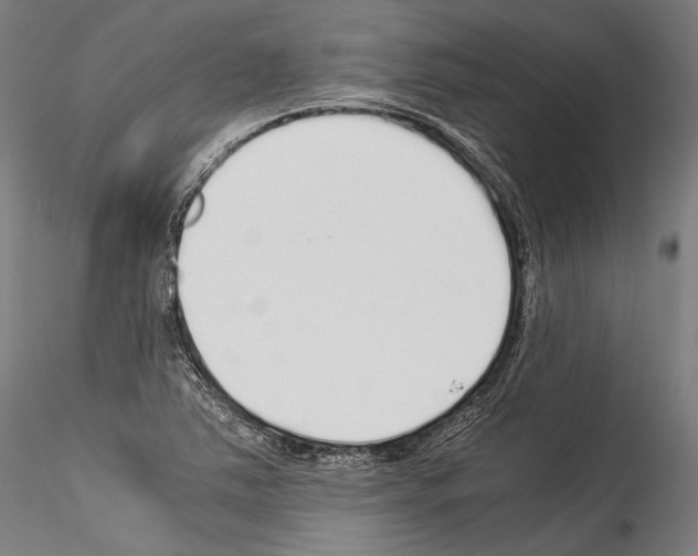 X0000114541363200911301152