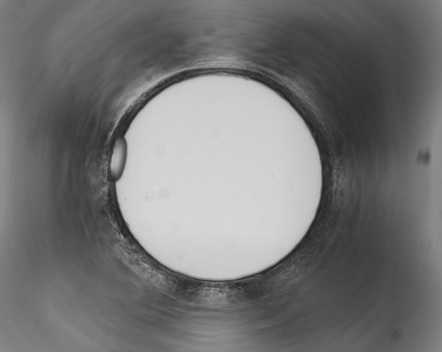 X0000114541364200911301152