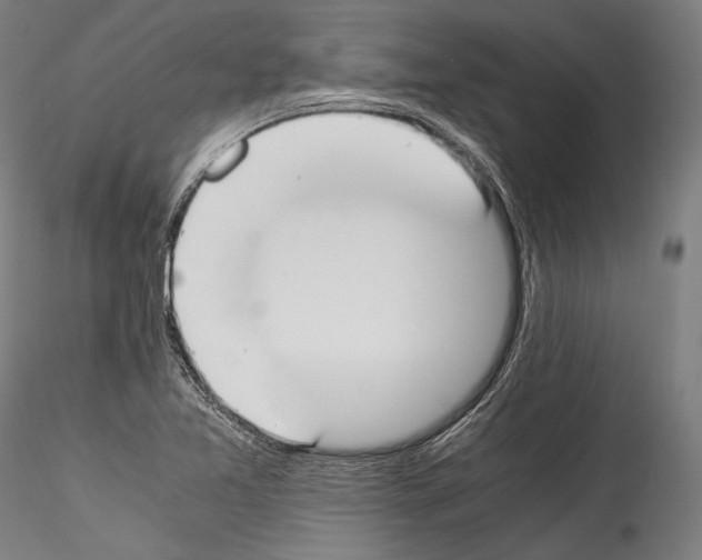 X0000114541365200911301152