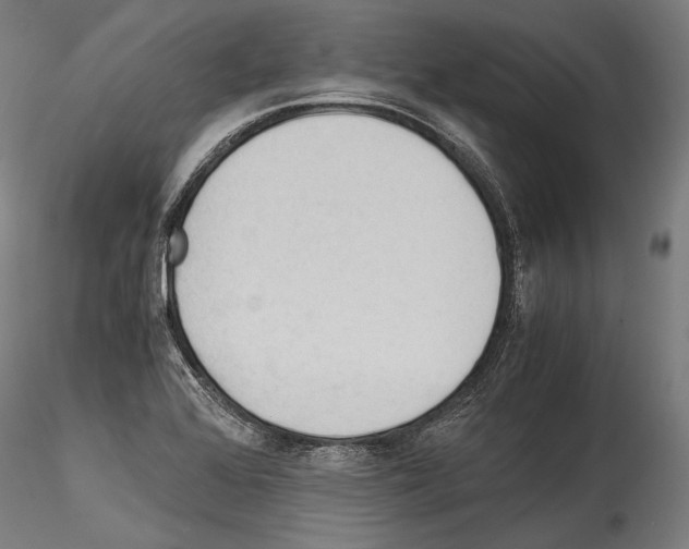 X0000114541368200911301152