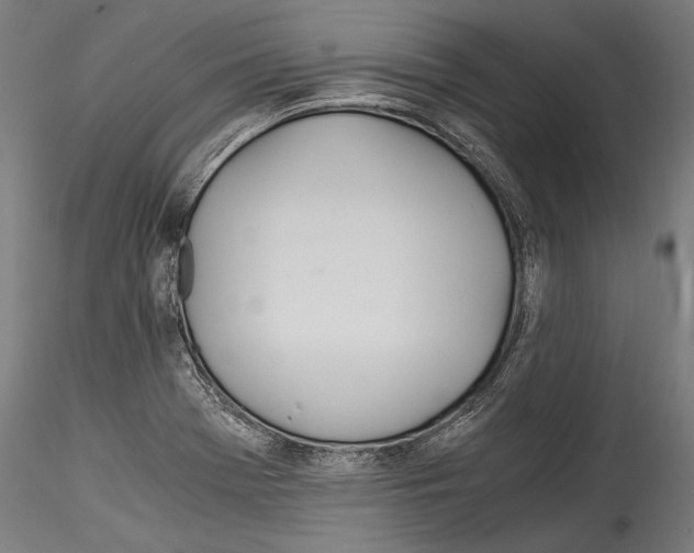 X0000114541369200911301152