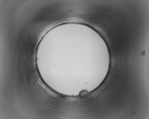 X0000114541374200911301151